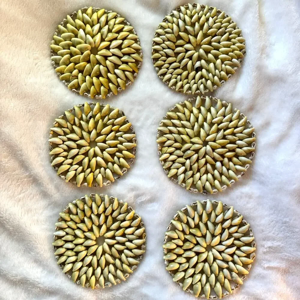 Set of Six Vintage Beige Sea Shell 5